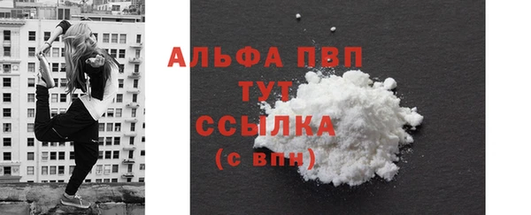спиды Абаза